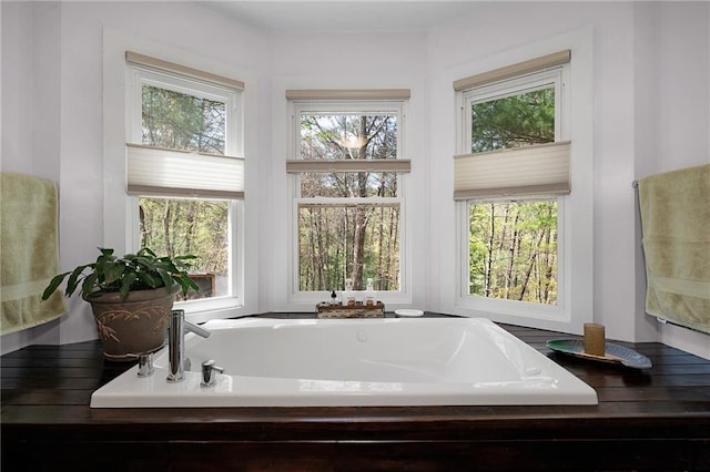306 Pig Trl, Cherry Log, GA 30522 - full bathroom featuring a bathing tub
