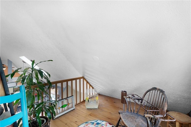 306 Pig Trl, Cherry Log, GA 30522 - interior space featuring lofted ceiling and hardwood / wood-style flooring