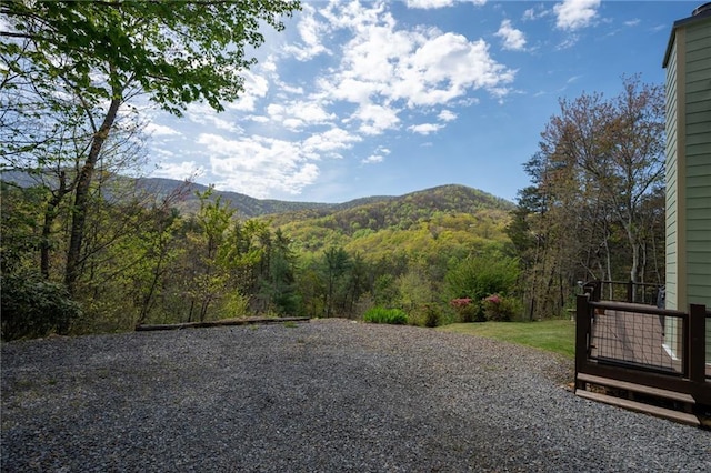 306 Pig Trl, Cherry Log, GA 30522 - mountain view featuring a view of trees