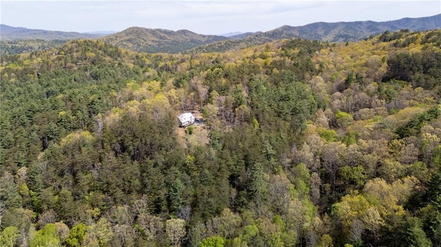 306 Pig Trl, Cherry Log, GA 30522 - bird's eye view with a view of trees and a mountain view
