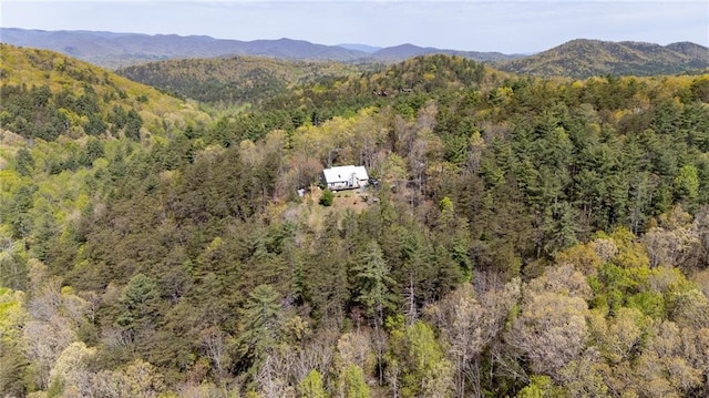 306 Pig Trl, Cherry Log, GA 30522 - aerial view featuring a view of trees and a mountain view