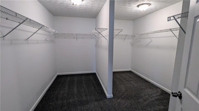 4373 Abram Dr, Conley, GA 30288 - walk in closet featuring dark colored carpet