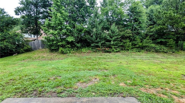 4373 Abram Dr, Conley, GA 30288 - view of yard