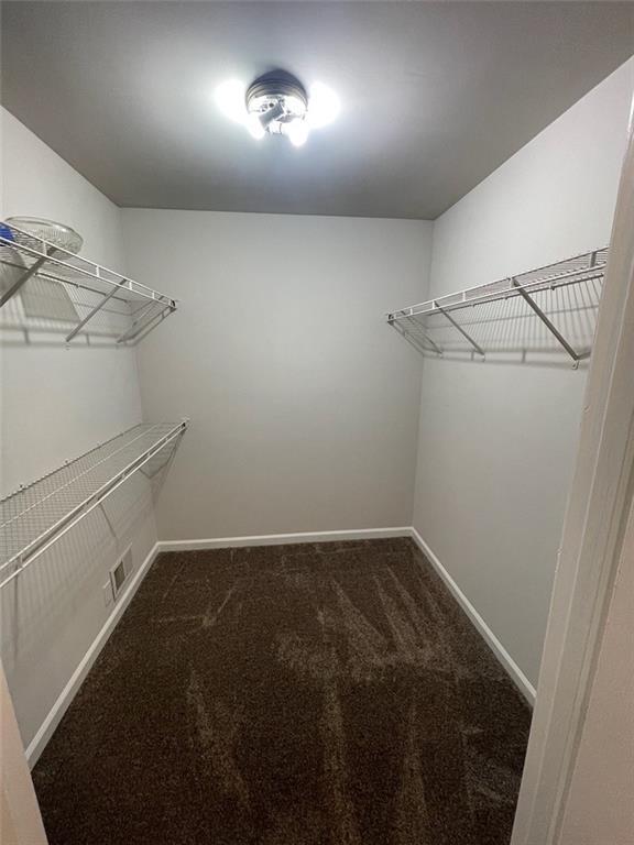 2166 Lake Ridge Ter, Lawrenceville, GA 30043 - spacious closet with carpet