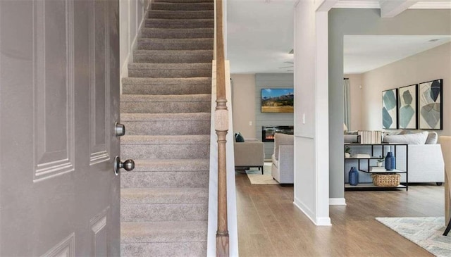 stairs with hardwood / wood-style floors