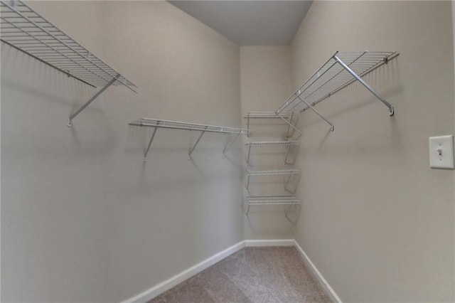 spacious closet with light carpet