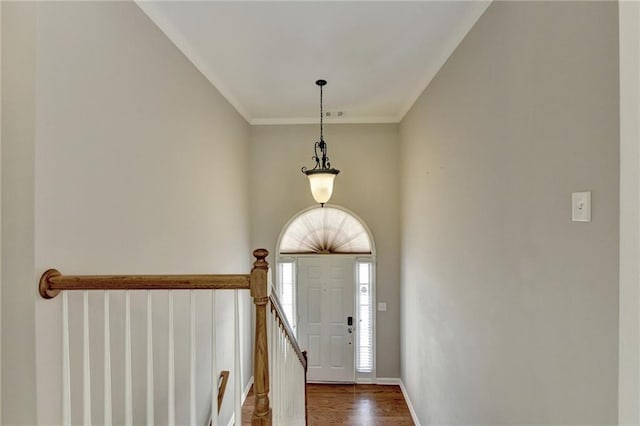 foyer entrance with dark hardwood / wood-style floors and ornamental molding