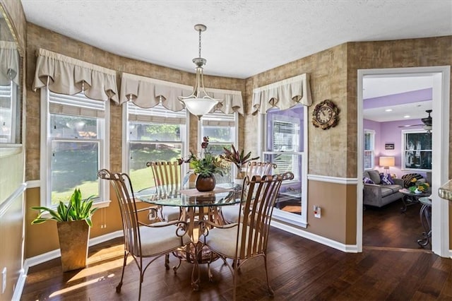 dining room with baseboards, plenty of natural light, hardwood / wood-style floors, a textured ceiling, and ceiling fan