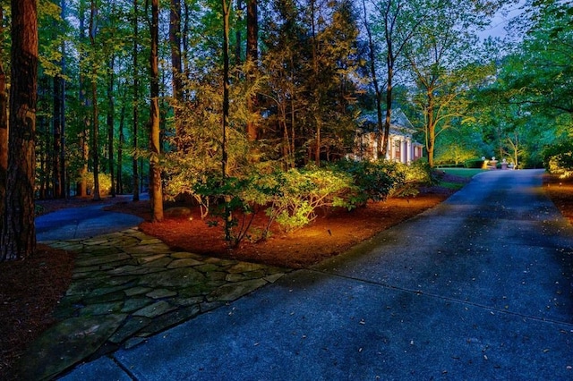 view of road featuring a forest view