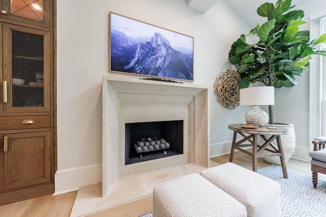 living area featuring baseboards and a fireplace