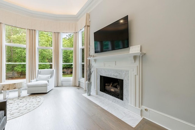 living area with ornamental molding, wood finished floors, and a premium fireplace