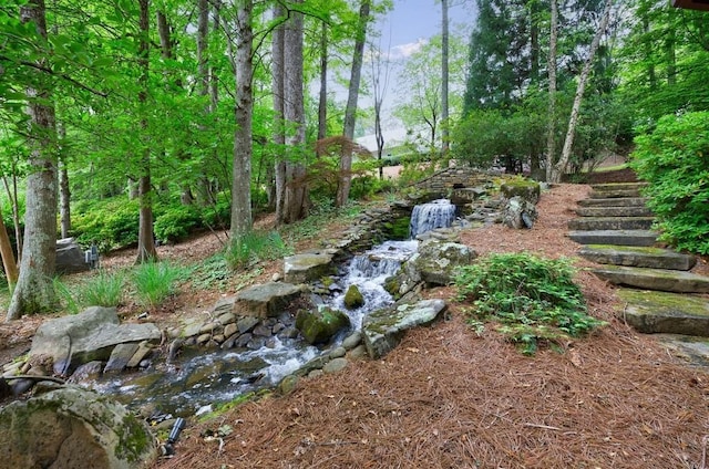 view of yard featuring stairs
