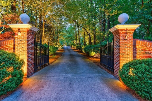 view of street with driveway, a gated entry, and a gate