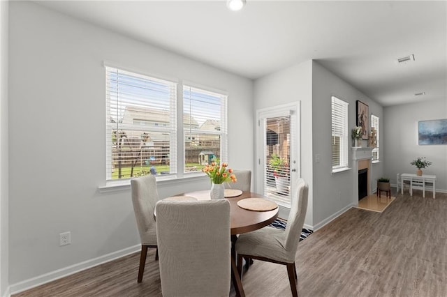 34 Hemlock Gln, Dallas, GA 30132 - dining space featuring wood finished floors, plenty of natural light, baseboards, and a fireplace