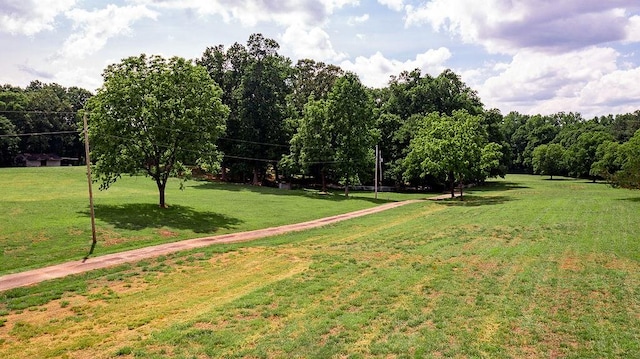 view of community featuring a yard