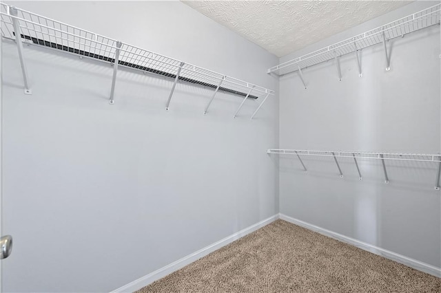 spacious closet with carpet flooring