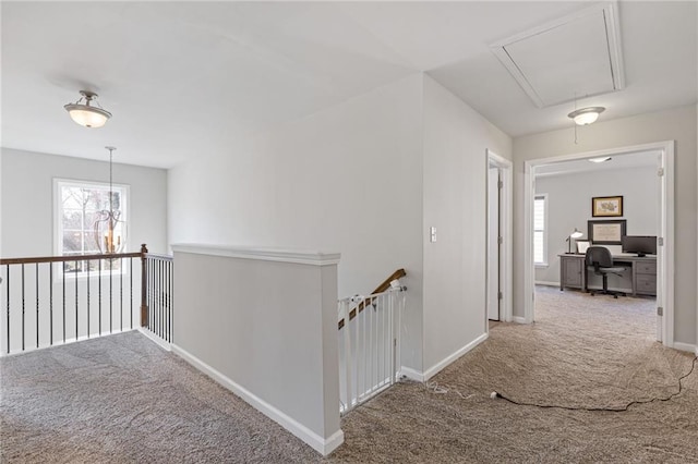 hallway with an upstairs landing, a healthy amount of sunlight, attic access, and carpet