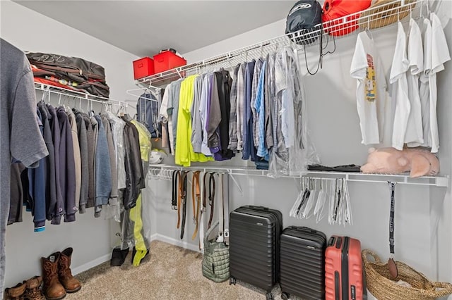 walk in closet with carpet