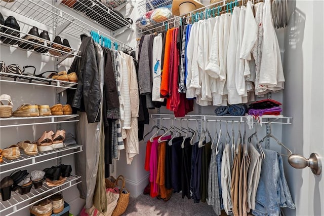 walk in closet featuring carpet floors