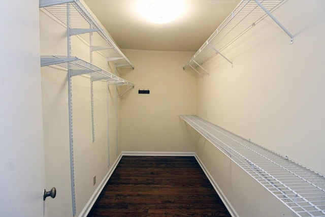 walk in closet featuring wood finished floors