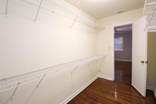 walk in closet with visible vents and wood finished floors