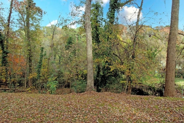 view of local wilderness featuring a wooded view