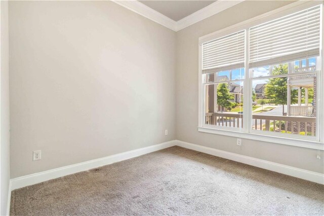 carpeted empty room with crown molding and baseboards