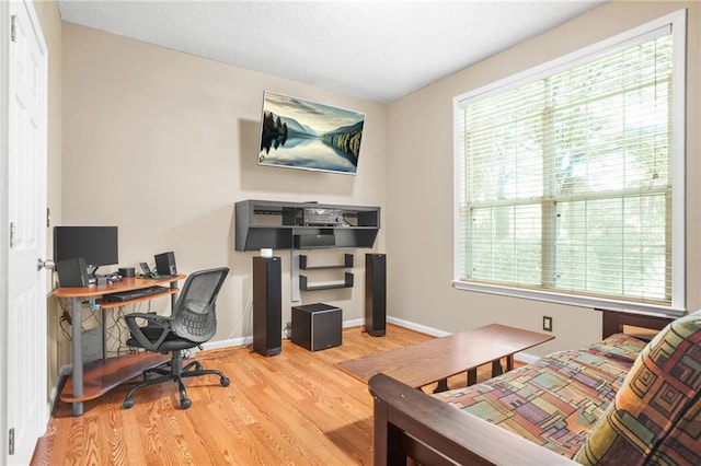 539 Mcgill Park Ave NE, Atlanta, GA 30312 - office space with wood finished floors, healthy amount of natural light, and baseboards