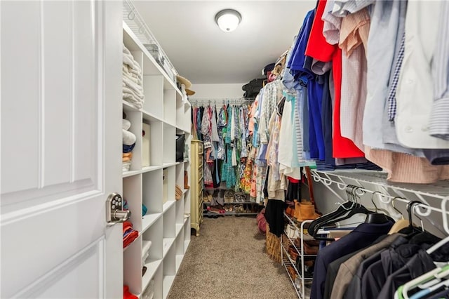 1600 Belle Isle Cir NE, Atlanta, GA 30329 - spacious closet featuring carpet flooring