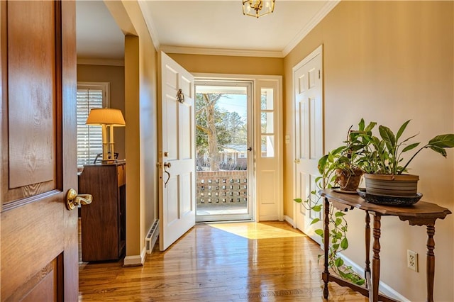 entrance foyer featuring crown molding, a wealth of natural light, and light wood-style floors