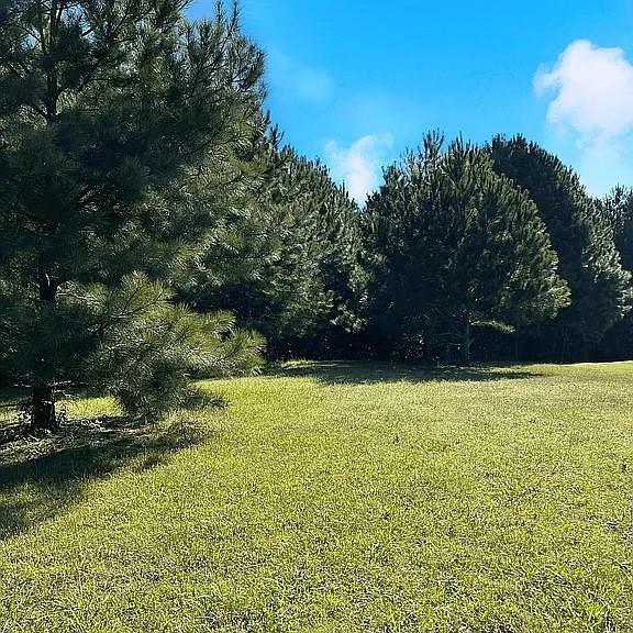 205 Providence Ct, Jonesboro, GA 30236