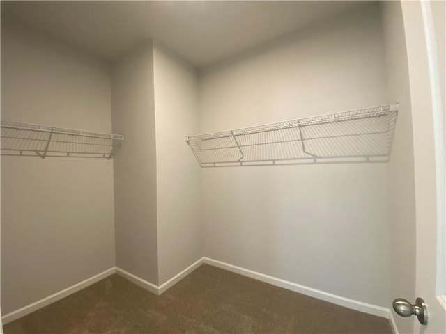 spacious closet with dark colored carpet