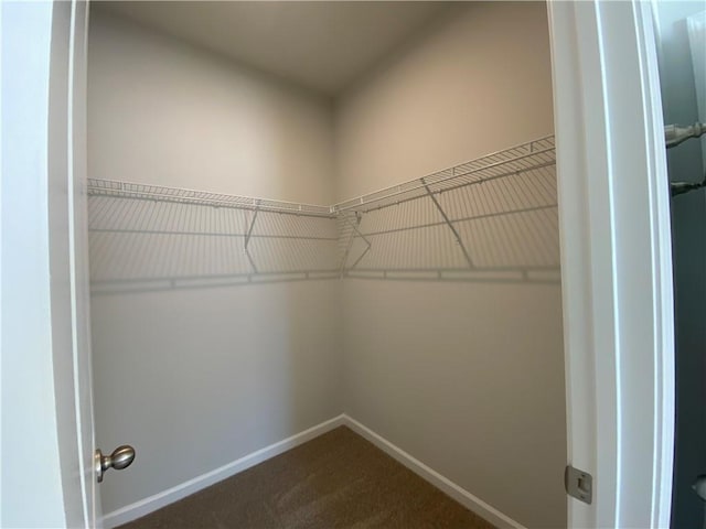 spacious closet with carpet flooring