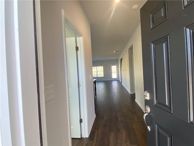 hall with dark wood-type flooring