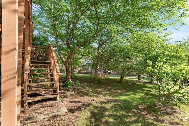 view of yard with stairway