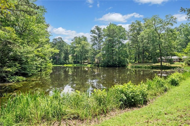 2941 Foothill Trl, Marietta, GA 30066 - water view featuring a heavily wooded area