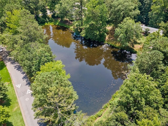 2941 Foothill Trl, Marietta, GA 30066 - view of property location featuring a nearby body of water
