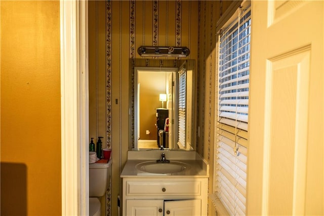 bathroom with toilet and vanity