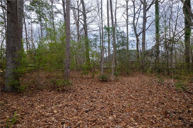 view of landscape