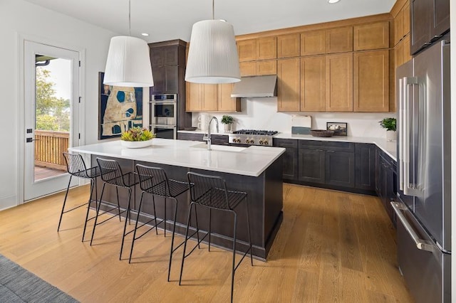 kitchen featuring stainless steel appliances, under cabinet range hood, a sink, light wood finished floors, and recessed lighting