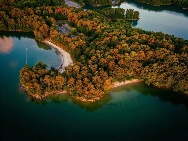 aerial overview of property's location with a heavily wooded area and a large body of water