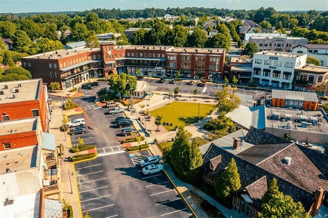 drone / aerial view