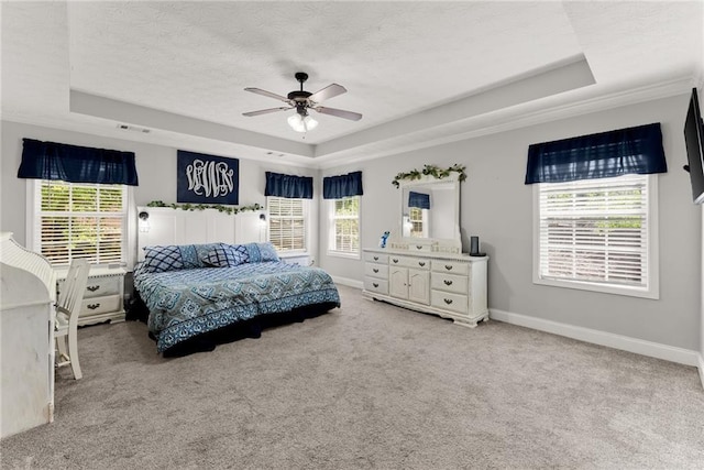 1338 Jefferson Station Rd, Jefferson, GA 30549 - bedroom with multiple windows, a tray ceiling, and visible vents