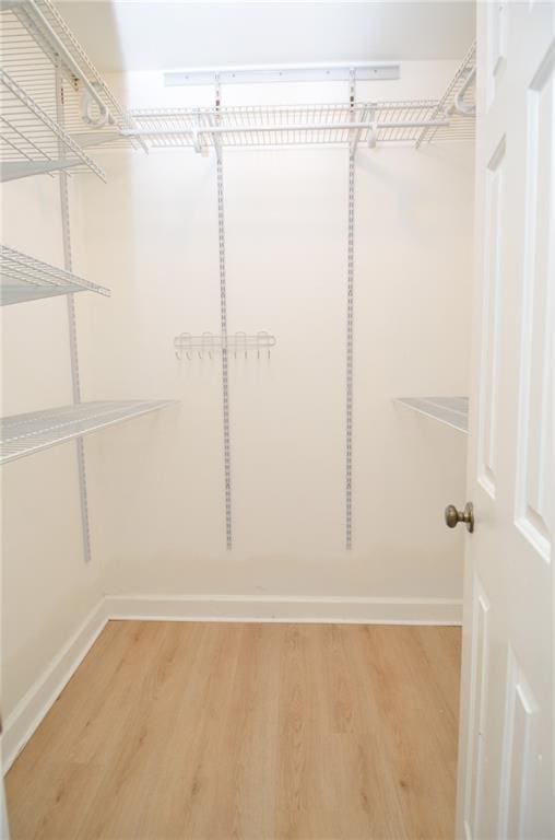 walk in closet with light wood-type flooring