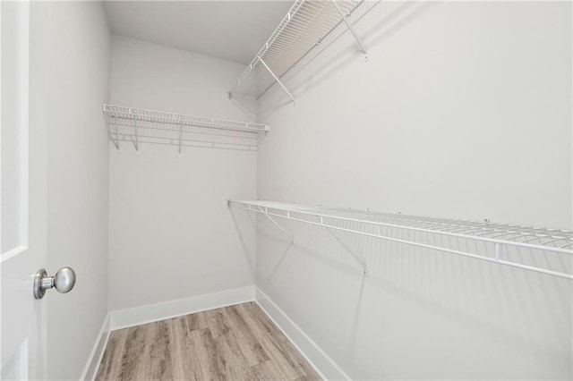 6075 Quail Mountain Trl, Gainesville, GA 30506 - walk in closet with light wood finished floors