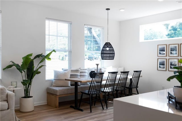 dining room with hardwood / wood-style flooring