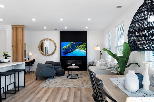 living room featuring light hardwood / wood-style flooring