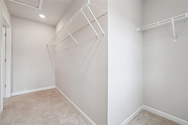 walk in closet with carpet flooring