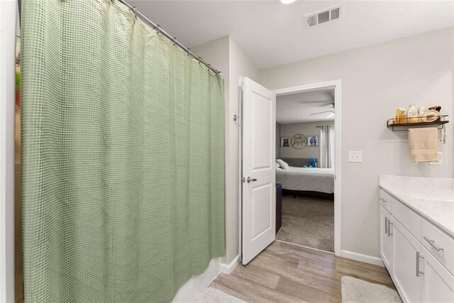 bathroom featuring wood-type flooring and vanity