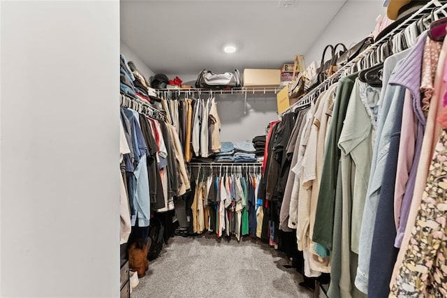 spacious closet with carpet